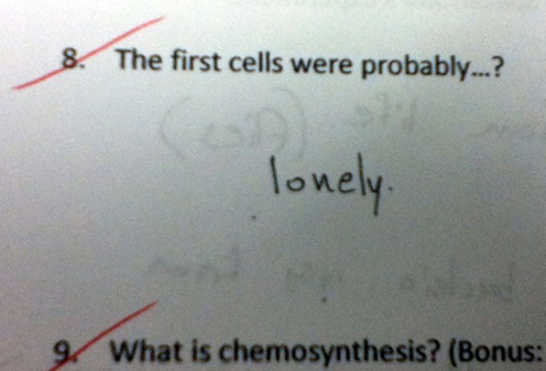 test-answers-that-are-totally-wrong-but-still-genius-5