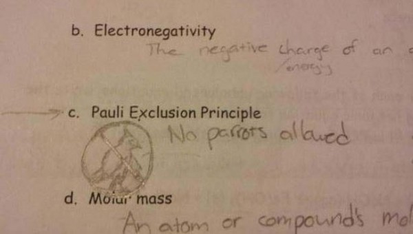 test-answers-that-are-totally-wrong-but-still-genius-6