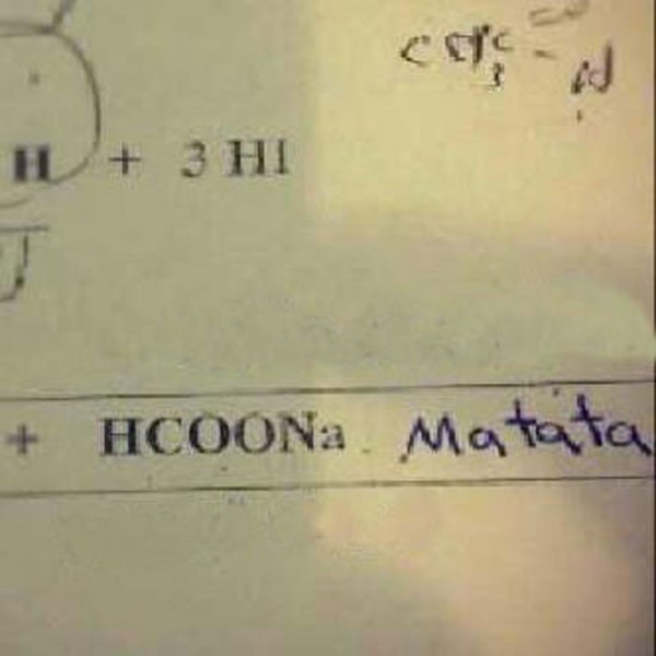 test-answers-that-are-totally-wrong-but-still-genius-9
