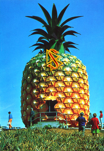 the_big_pineapple_scientolo