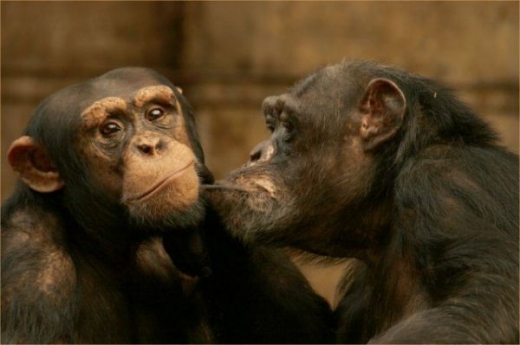 46fc80a5f1c05c9cdcaaa7f311d5b457