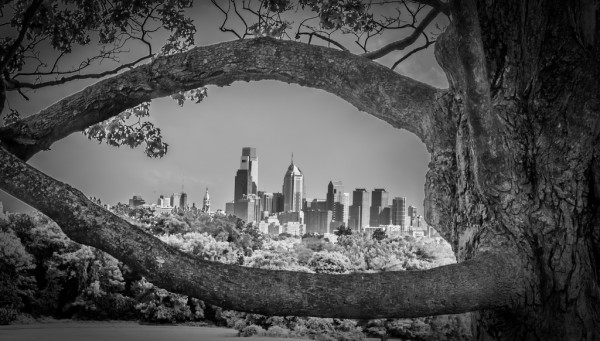 7876906278_cdcd6acc31_b