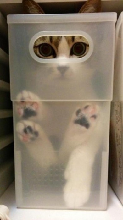 987