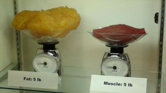 Capture d’écran 2014-03-14 à 10.24.44