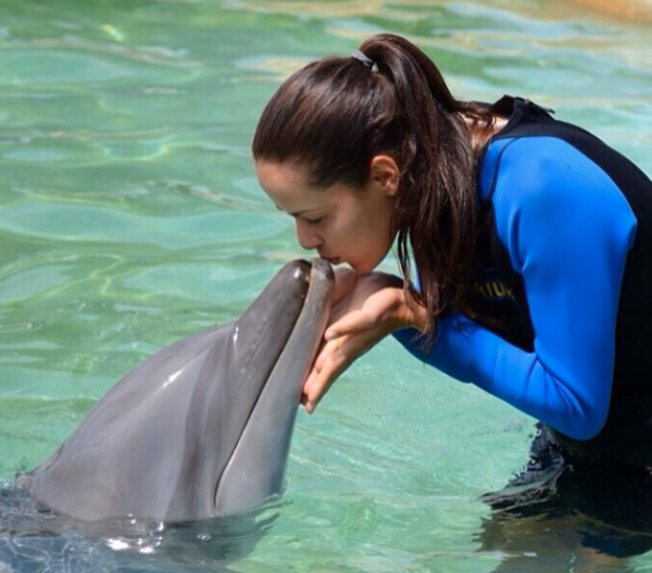 Capture d’écran 2014-03-31 à 11.21.48
