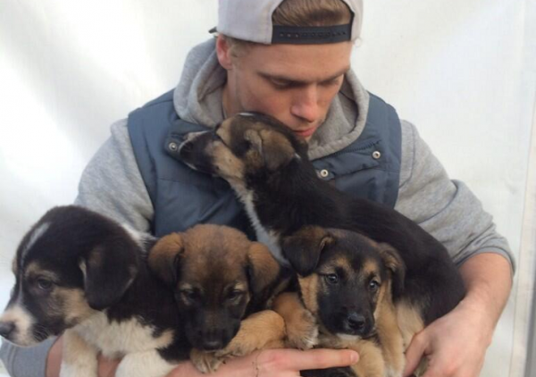 Gus-Kenworthy-Saves-Stray-Puppies