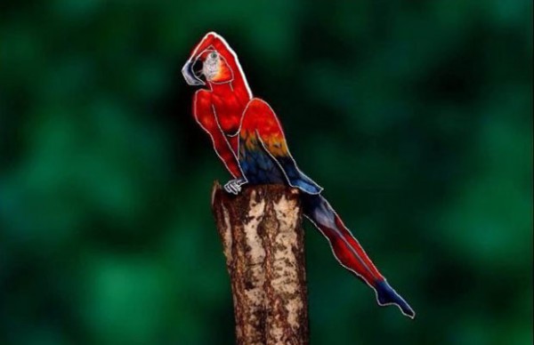 body-painting-ce-perroquet-est-en-realite-un-etre-humain2-600x388