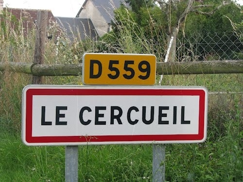 enhanced-buzz-27964-1390863923-0