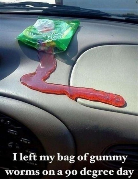 having-a-bad-day-funny-pictures-11