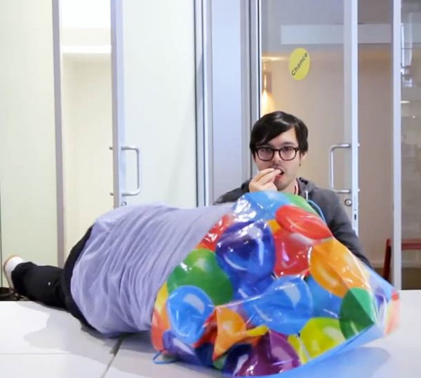 humans-behave-like-cats-2