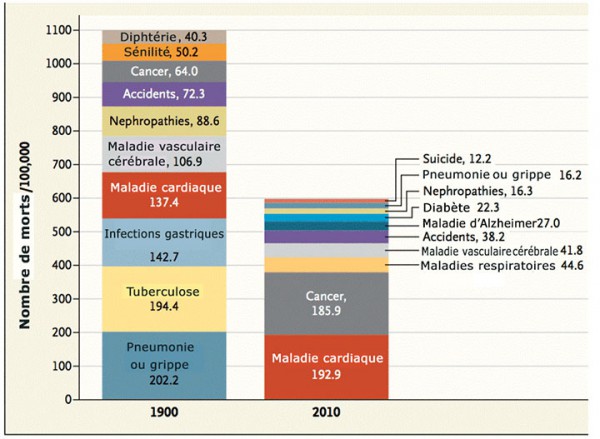 les-10-causes-de-deces-les-plus-importantes-de-1900-a-20101