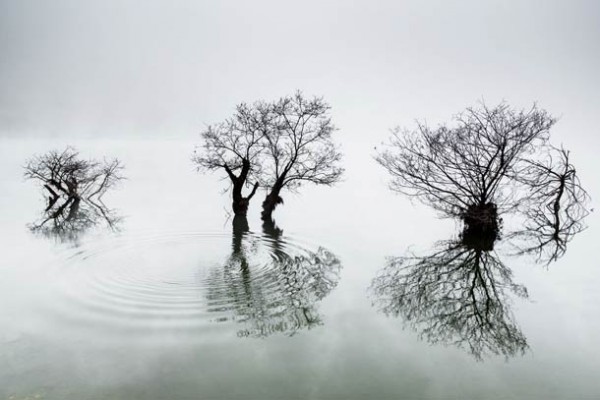 sony-world-photography-awards-2014-winners-14