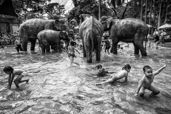 sony-world-photography-awards-2014-winners-20