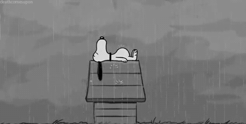 tumblr_n1rtexiG1F1t9qpzio1_500