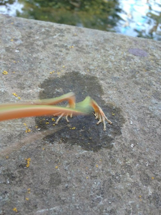 15timing_parfait_demotivateur