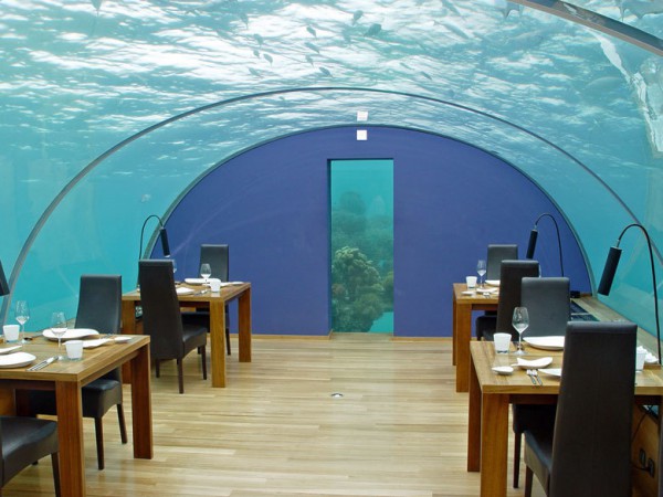 7.-Ithaa-Undersea-Restaurant-aux-Maldives_exact780x585_l