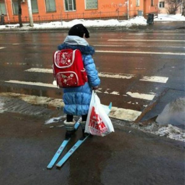 7491