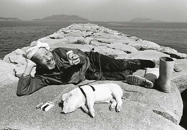 Farmer-and-Pig-08-600x419