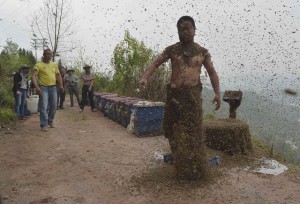 She shakes off bees after an attempt to cover his body with bees in Chongqing municipality