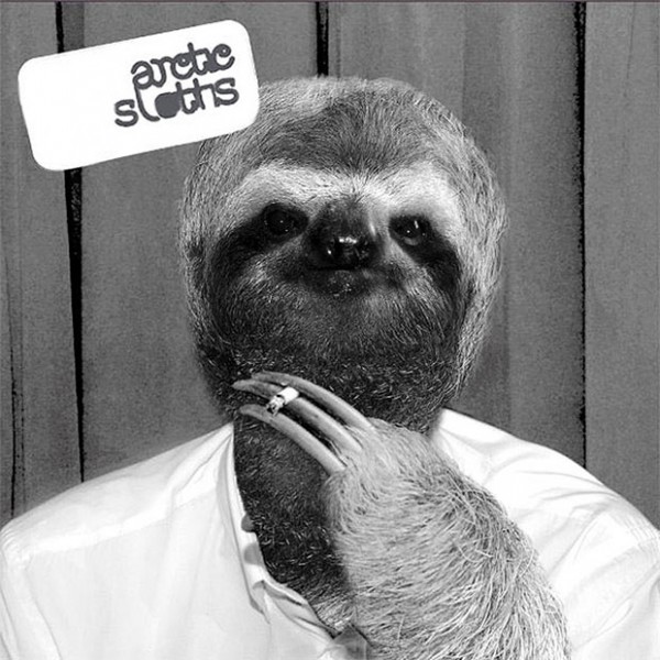 des-paresseux-envahissent-les-pochettes-dalbums-cultes13