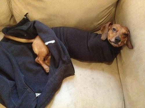 enhanced-buzz-30962-1382723245-1-620x