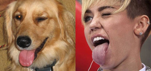 frightenly-similar-miley-cyrus-doppelgangers-wildammo-6