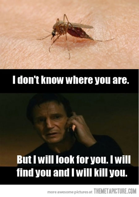 funny-mosquito-bite-Liam-Neeson