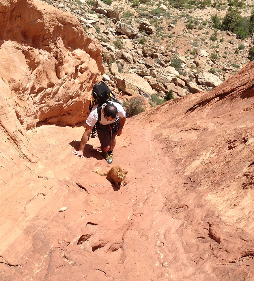 01chat-escalade-76533