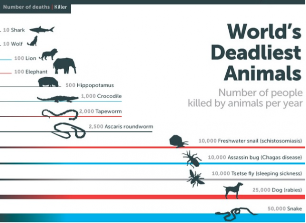 Capture d’écran 2014-05-12 à 12.52.52