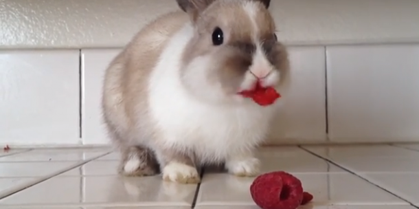 Capture d’écran 2014-05-12 à 15.22.52