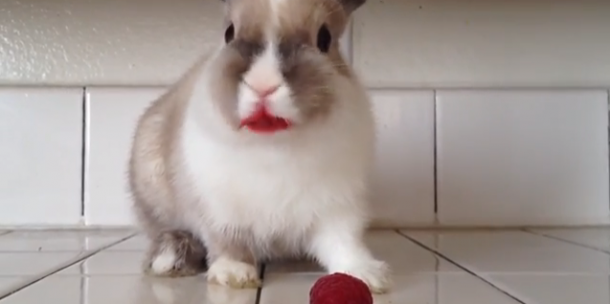 Capture d’écran 2014-05-12 à 15.23.40