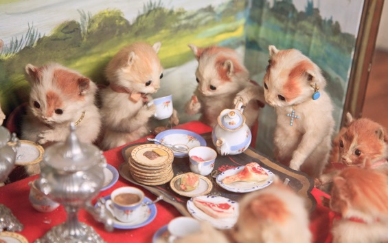 Victorian-Taxidermy-05