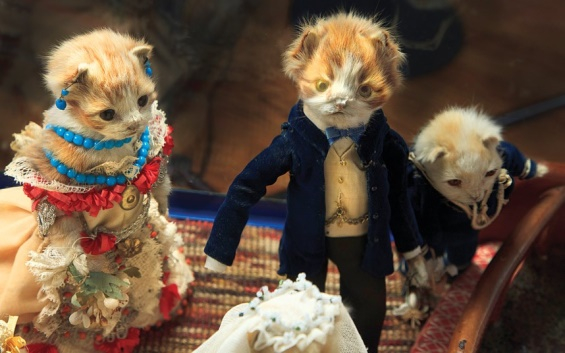 Victorian-Taxidermy-08