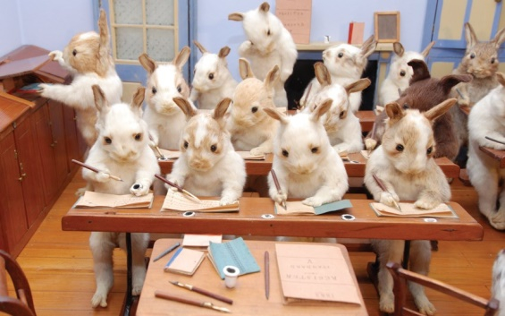 Victorian-Taxidermy-10