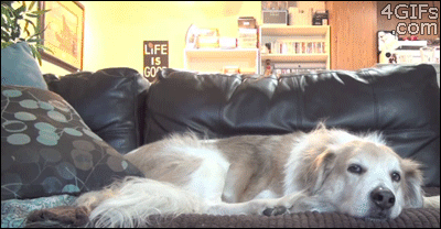anigif_enhanced-20462-1400003961-9