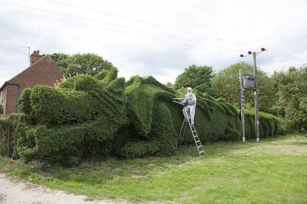 dragon-shaped-hedge-topiary-john-brooker-2