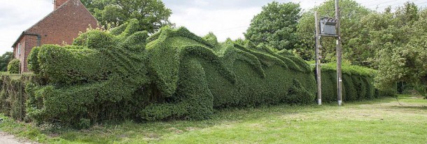 dragon-shaped-hedge-topiary-john-brooker-4