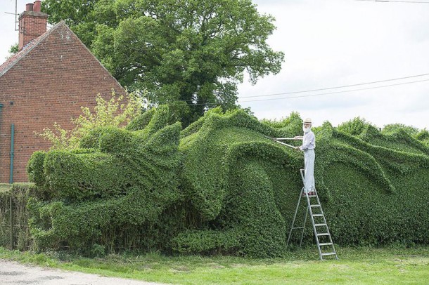 dragon-shaped-hedge-topiary-john-brooker-5