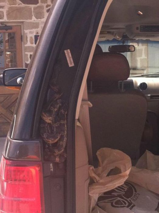 hell_nope_not_in_a_million_years_05