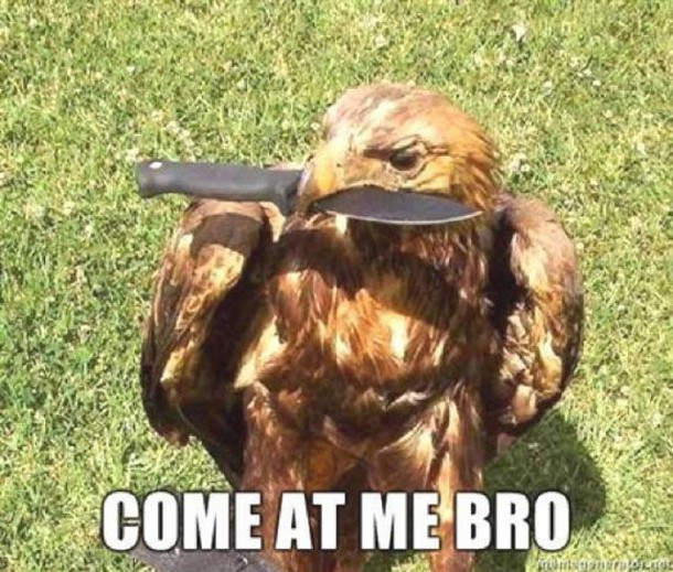 hell_nope_not_in_a_million_years_31