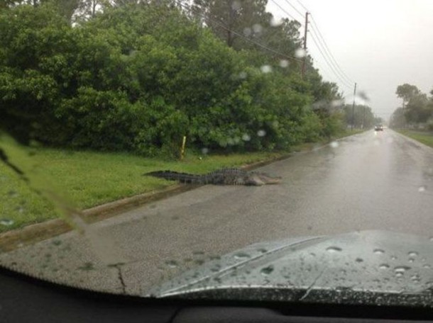 hell_nope_not_in_a_million_years_32