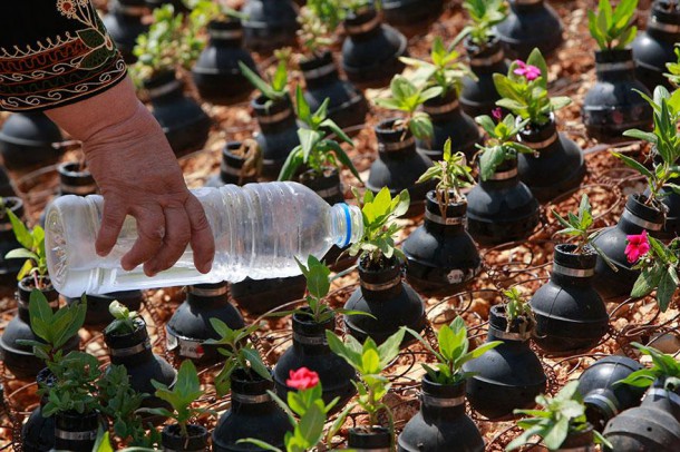 tear-gas-flower-pots-palestine-11