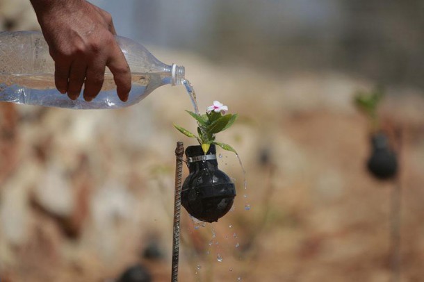 tear-gas-flower-pots-palestine-4