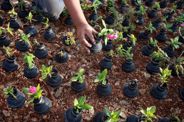 tear-gas-flower-pots-palestine-7