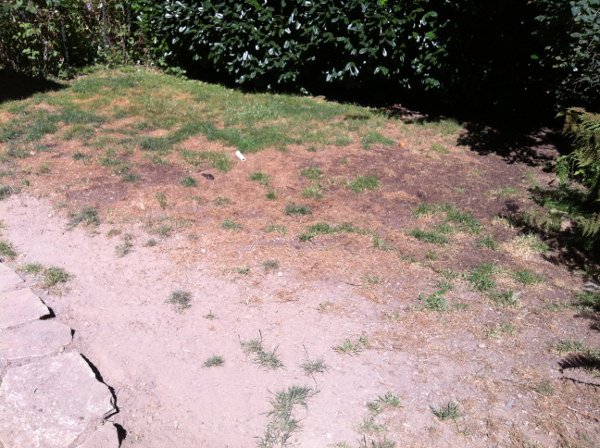 Ce voleur fait ses besoins dans le jardin de sa victime. Il a été nommé "Serial popper" (chieur en série)