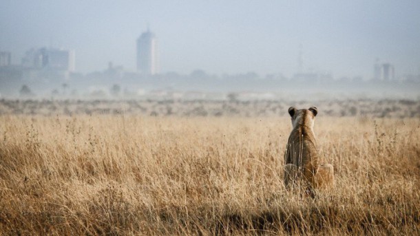 Préservation / environnement