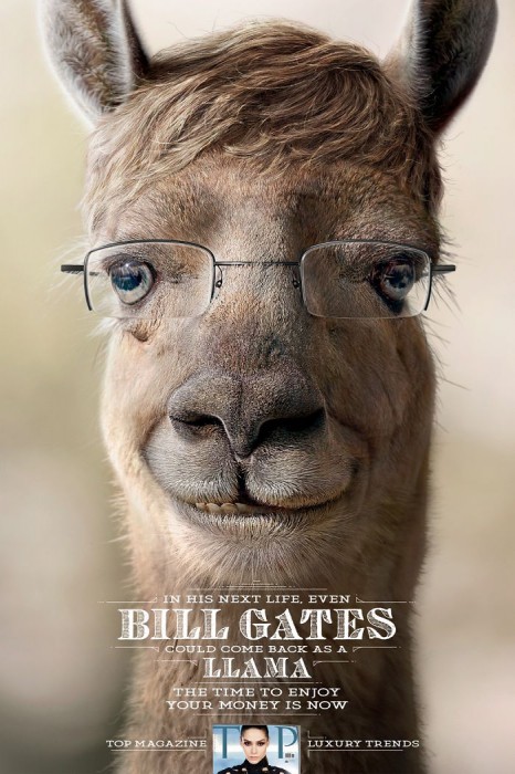 Bill Gates en lama