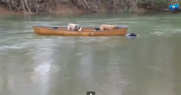 Capture d’écran 2014-06-02 à 17.12.09