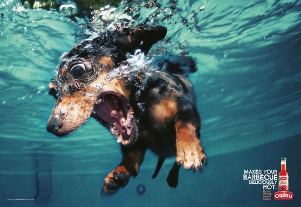 Cepêra Sauce poivre extra forte Rend votre barbecue délicieusement piquant