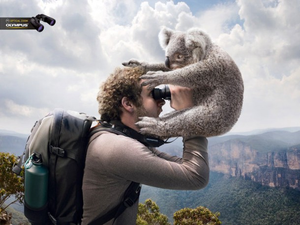 Jumelles Olympus zoom optique 2